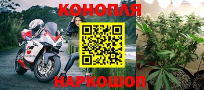 spice Дубна