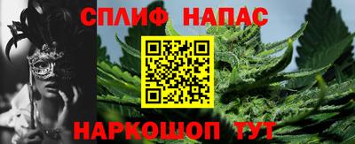 spice Дубна