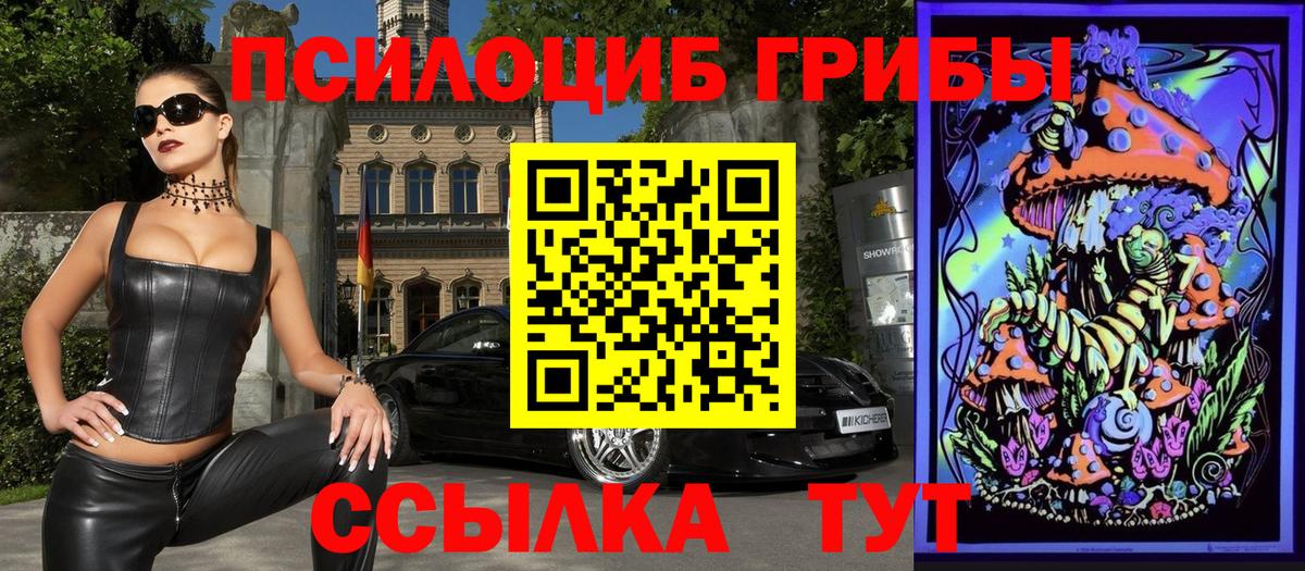 Галлюциногенные грибы Psilocybine cubensis Михайловка