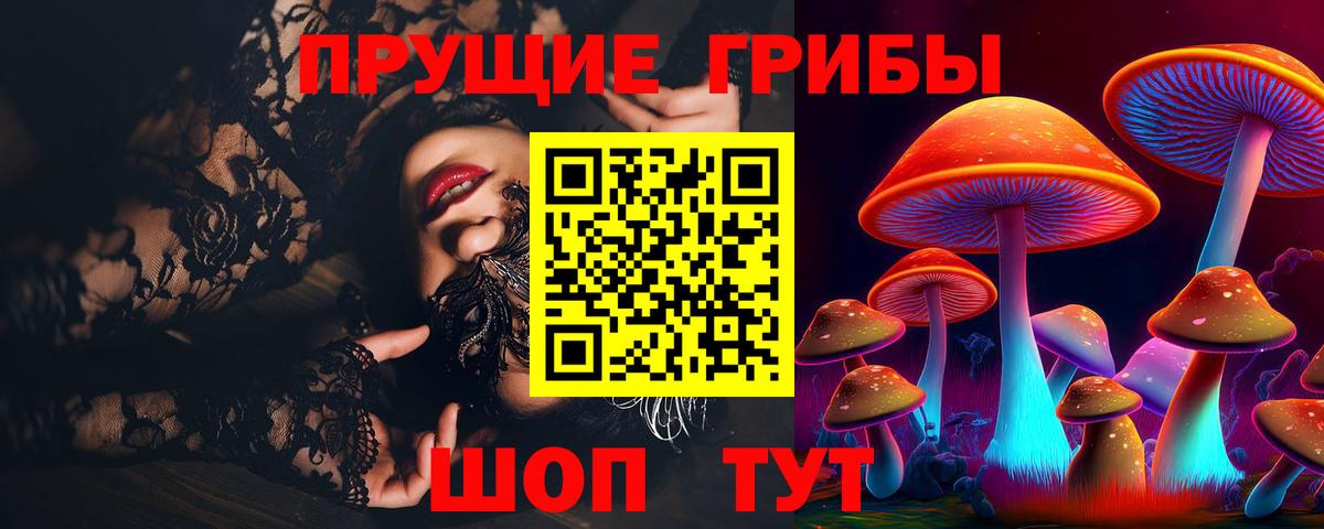 Псилоцибиновые грибы MAGIC MUSHROOMS  Вход с VPN  Галлюциногенные грибы Psilocybine cubensis  Михайловка 